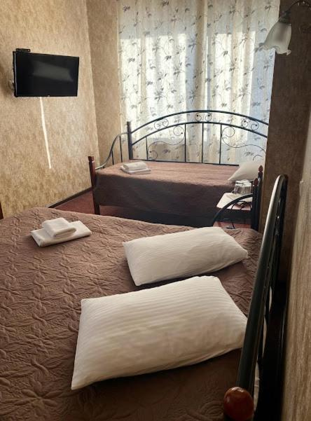 Golden Lion Hotel Boryspil Exterior photo